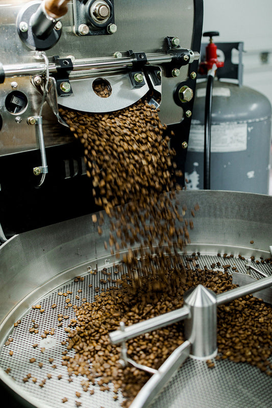 Fresh From the Roaster: A Peek Behind the Beans